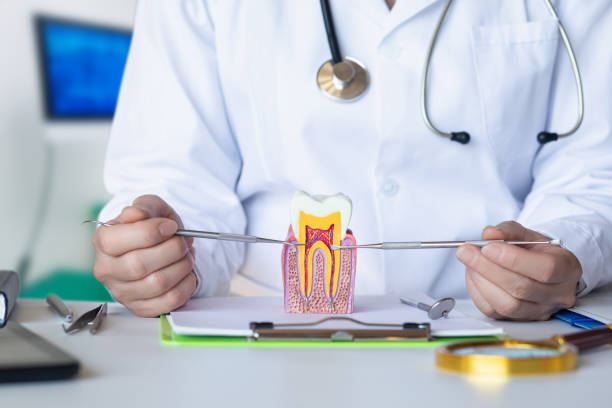 Best Knocked-Out Tooth Emergency  in Grandview, OH